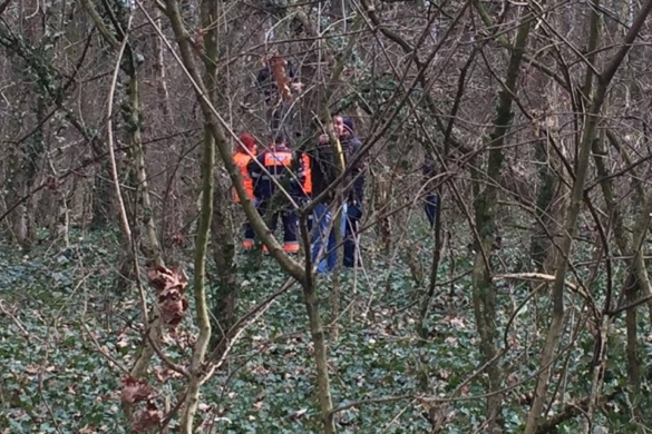 Un bărbat a fost găsit spânzurat de un copac, la Pădurea Verde