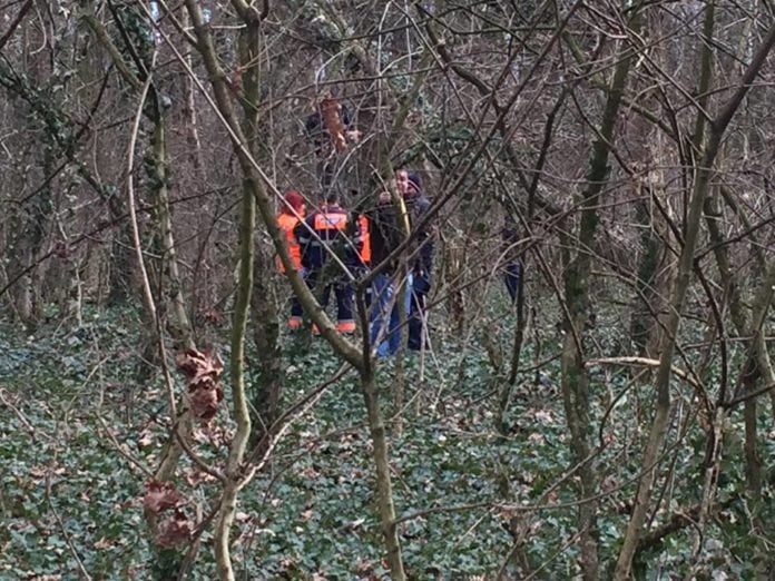 Un bărbat a fost găsit spânzurat de un copac, la Pădurea Verde Un bărbat a fost găsit spânzurat de un copac la Pădurea Verde 1