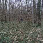 Un-bărbat-a-fost-găsit-spânzurat-de-un-copac-la-Pădurea-Verde-2