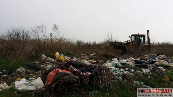 Gunoaiele de pe strada Fervenția1 jpg