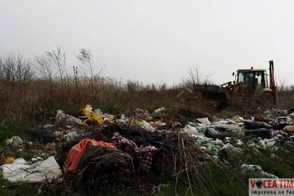 Primăria Dumbrăvița a început să strângă gunoaiele de pe strada Fervenția