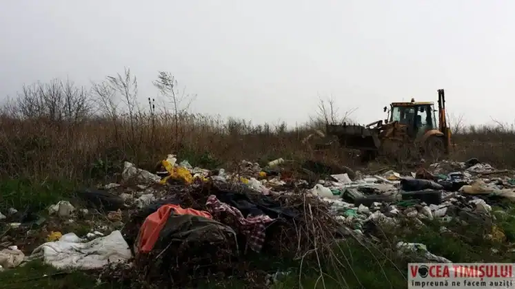 Gunoaiele de pe strada Fervenția1 jpg