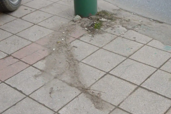 cablul electric din fața BCR 5 jpg