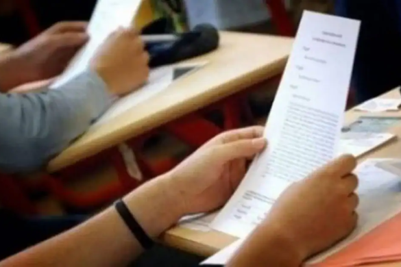 Medalii pentru de aur, bronz şi argint pentru opt tineri din Timiş. Elevii care au excelat la Olimpiada Naţională de Matematică