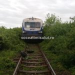 Accident-feroviar-Sannicolau-Mare14