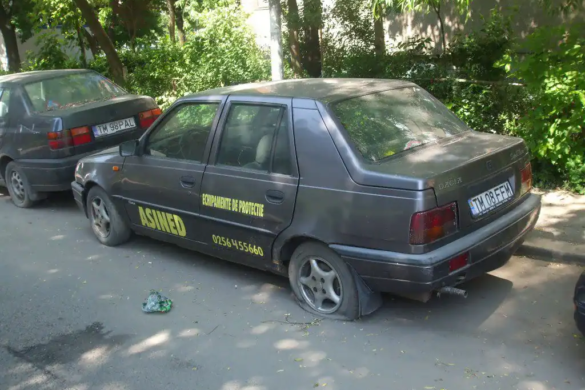 50 de rable vor fi ridicate de SDM de pe domeniul public. Anunţul făcut de Poliţia Locală