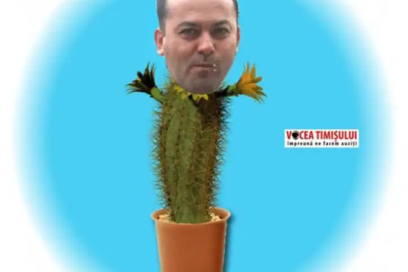 Alin Popoviciu candidatul PNL la şefia CJT!