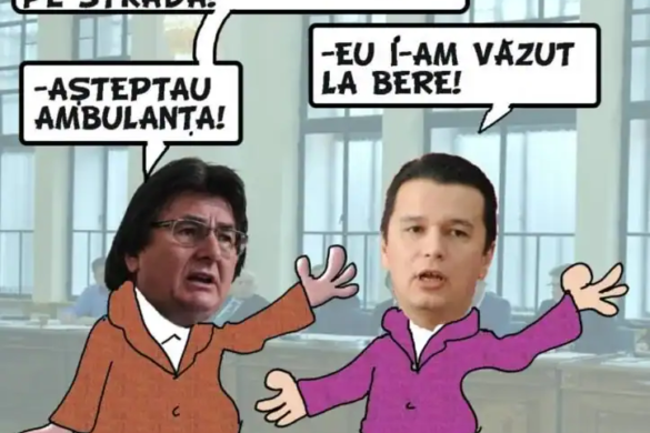 Şedinţa Consiliului Judeţean Timiş, boicotată de PNL