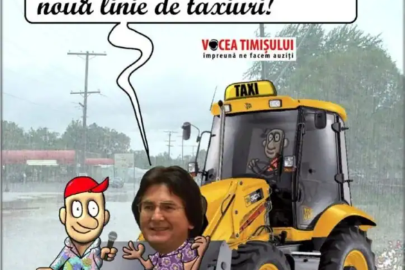 Primăria Timişoara, inaugurează o nouă linie de taximetre