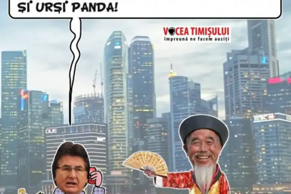 Timişoara invadată de ţânţari. Nicolae Robu caută rezolvarea la Singapore