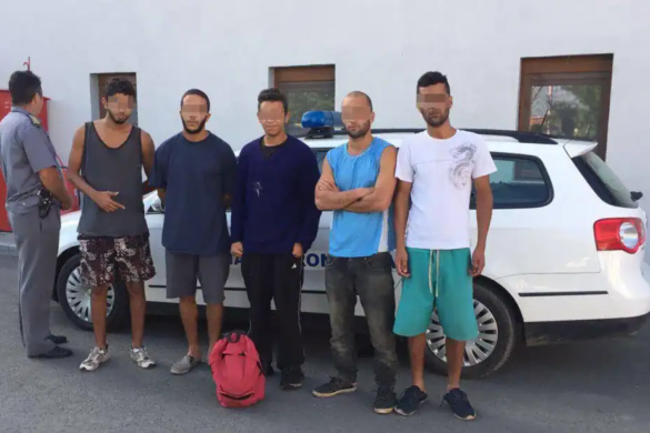 Grup de migranți prins de Poliția Locală în toiul nopții. Unde se ascundeau