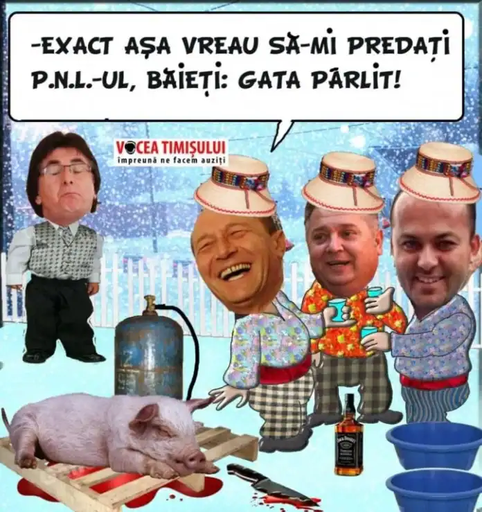 Alin Popoviciu visează să preia conducerea PNL Timiş