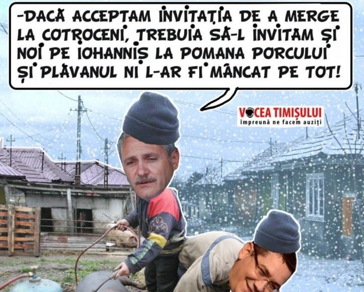 dragnea