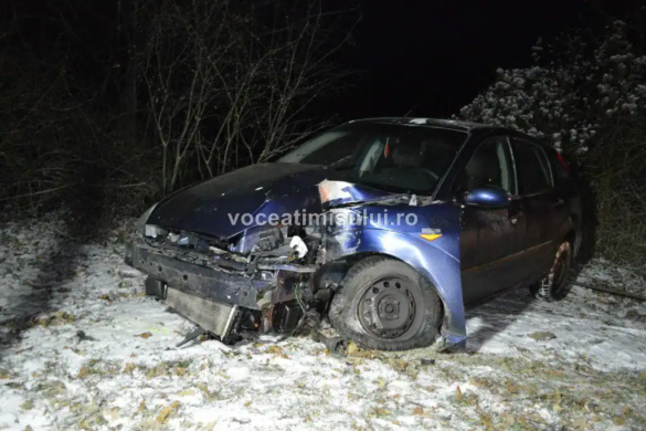 Accident! Un şofer a reuşit performanţa să pună la pământ şase stâlpi de pe marginea drumului la intrare în Timişoara