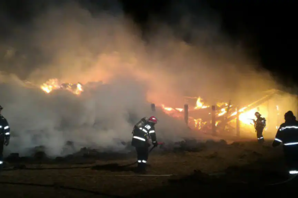 Peste 80 de incendii la mirişti stinse de ISU Banat în ultimele zile. Ce sancţiuni riscă fermierii de la APIA