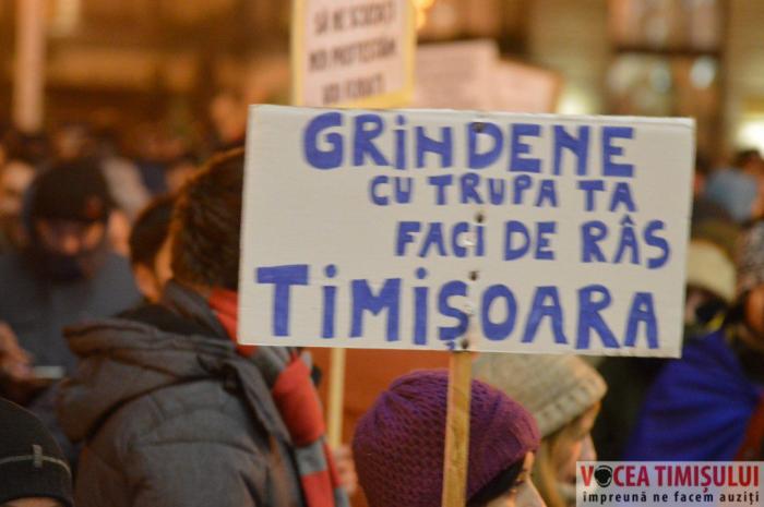 Protest-la-Timişoara23