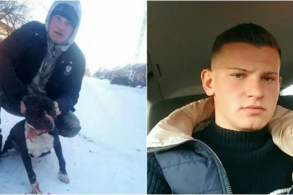 CRUZIME fără limite! Un tânăr din judeţul Arad şi-a pus pitbull-ul să sfâşie un câine legat VIDEO