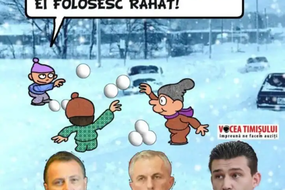 Politica bănăţeană nu-i curvă! Doar politicienii sunt nişte peşti, care o siluiesc, în orice poziție o prind