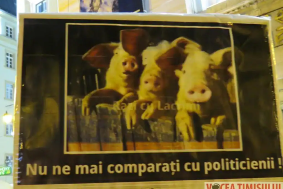 Protestatarii revin în Piaţa Victoriei din Timişoara. Ce îi nemulţumeşte UPDATE: Numărul participanţilor