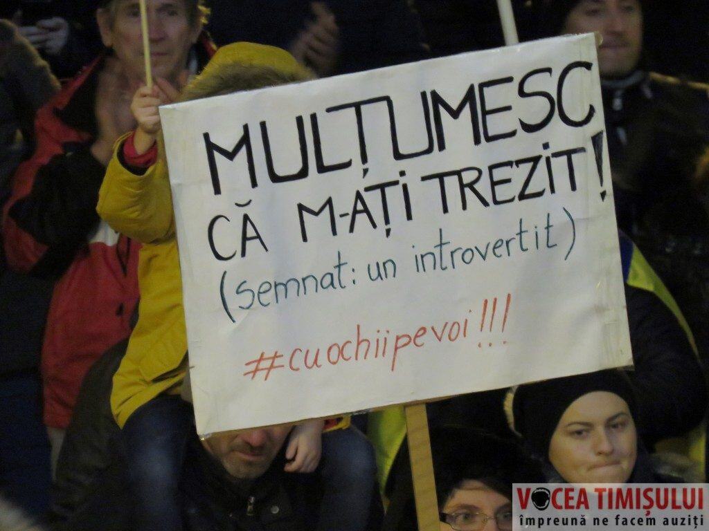 Proteste Timisoara08 2