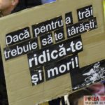 Proteste-Timisoara20-2