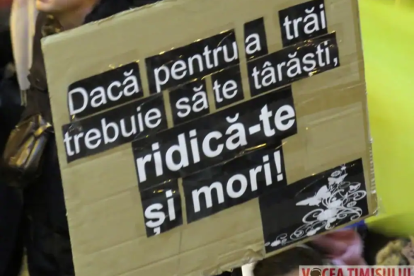 Protestatari #rezist din Timisoara, urmariti penal de IPJ Timis