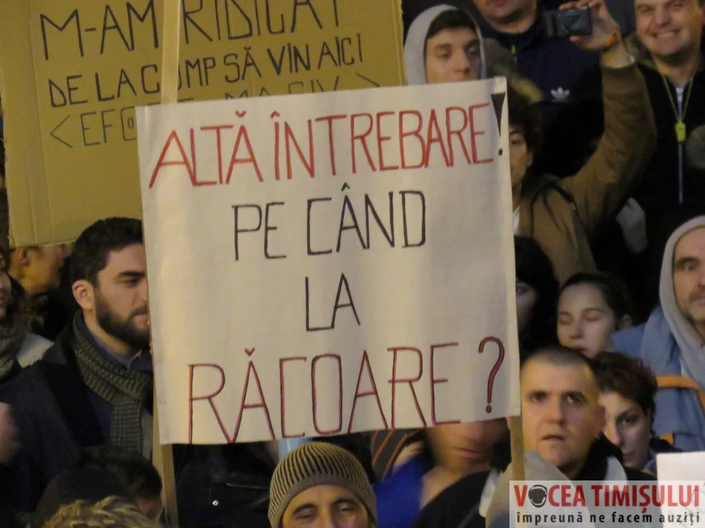 Proteste-Timisoara24