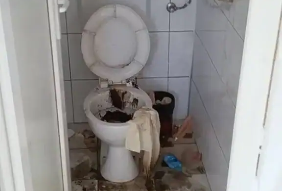 Videoclip despre toaletele publice din Timișoara, VIRAL pe Facebook. Cum arată cea din Parcul Botanic