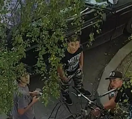 VIDEO! Tupeu fără margini, în Calea Buziaşului. Tineri filmaţi cum furau o bicicletă în plină zi