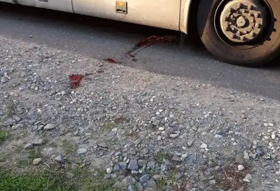 Copil accidentat de autobuz în Opatița, județul Timiș
