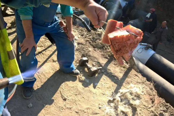 Muncitori surprinși gătind pe șantierul Popa Șapcă