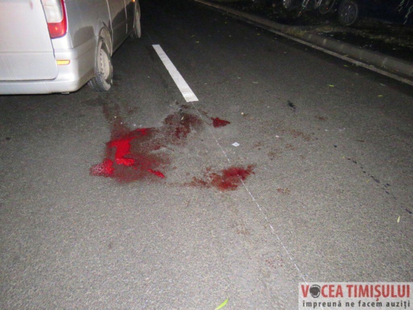 Accident mortal Calea Buziasului07 Accident mortal Calea Buziasului07