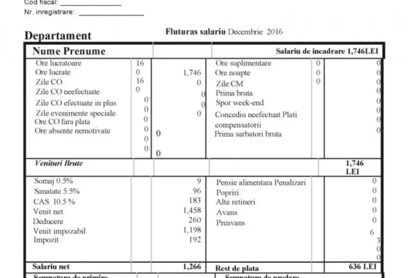 Campanie anti-Olguta Vasilescu. Indemnul deputatului Pirtea: Hai cu fluturasul de salariu pe Facebook