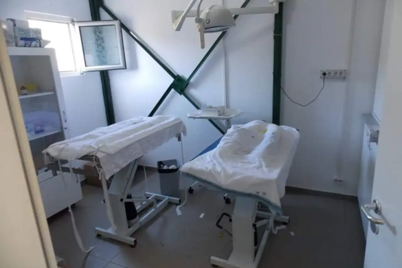 Campanie GRATUITA de castrare a cainilor cu si fara stapan, langa Lugoj
