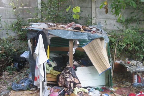 Colibe demolate si boschetari alungati din spatele Casei Tineretului, la Timisoara