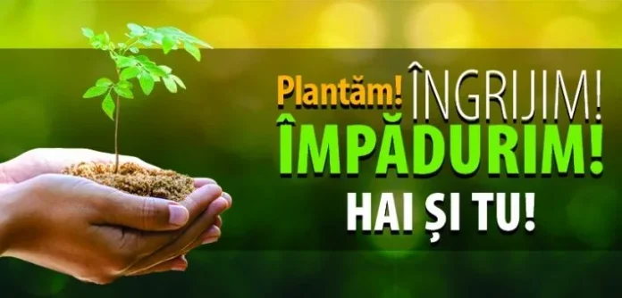 Se planteaza ”fapte bune” la Cralovat, in judetul Timis! Afla cum poti participa