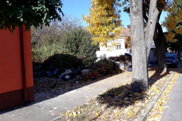 200 de proprietari de terenuri neigienizate si necosite, in 2018, la Timisoara. Acum platesc!