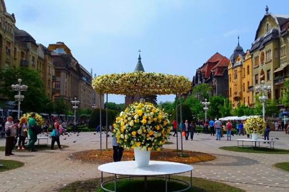 Festivalul ”Timfloralis” se extinde. Va ocupa cele mai importante trei piete din Timisoara