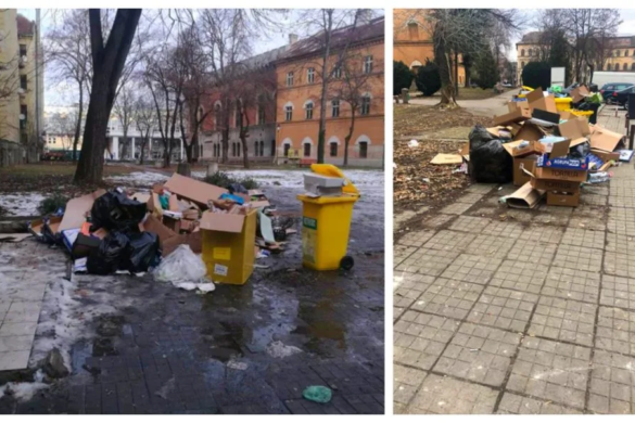 TUPEU maxim! Firme din centrul Timisoarei, fara contract de salubrizare, aruncau deseurile in strada