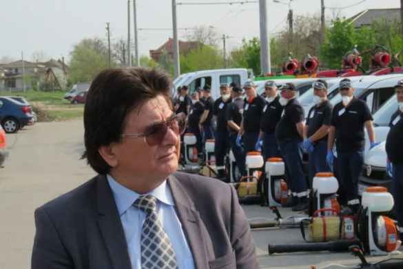 Primarul Timișoarei: ”Tantariada a început asta noapte”, în centrul orașului