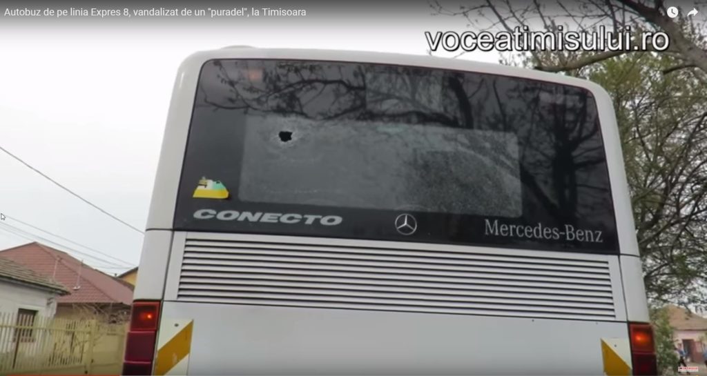 VIDEO INCREDIBIL! Autobuz de pe linia Expres 8, vandalizat de un "puradel", la Timisoara 1