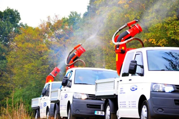 Incepe deratizarea si DEZINSECTIA, la Timisoara! Vezi ce trebuie sa faci