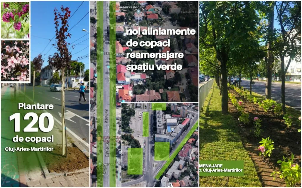 Copaci-gazon-si-multe-flori-noul-”spatiu-verde”-pe-strazile-Cluj-Arieș-și-Calea-Martirilor