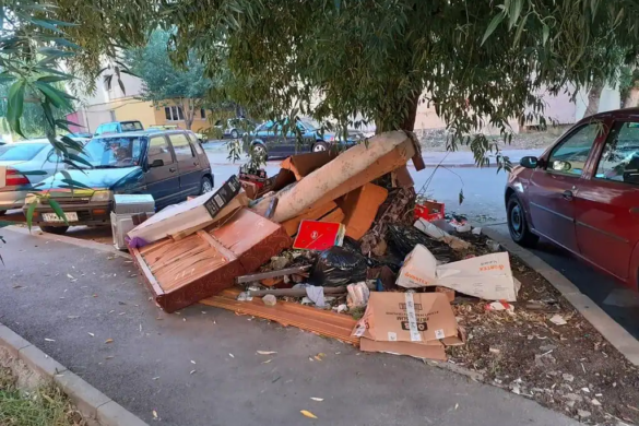Nesimtitii nu renunta sa arunce gunoaie pe strada, prin cartierele Timisoarei