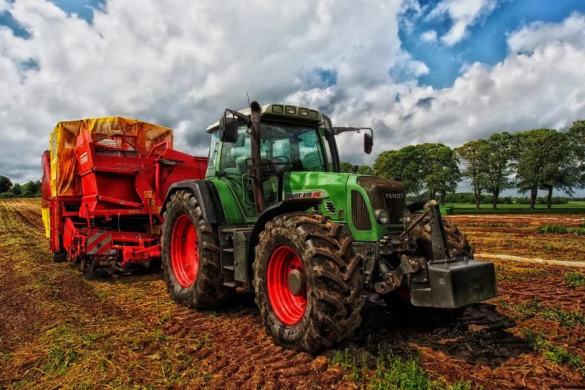 O noua piata digitala internationala dedicata sectorului agricol se lanseaza in Romania