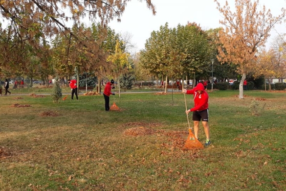FOTO Pedepsiti dupa infrangere! Rugbistii de la Timisoara Saracens, scosi la curatenie