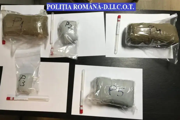 Politistii de la Crima Organizata din Timisoara au descoperit cocaina intr-o masina, la granita cu Ungaria