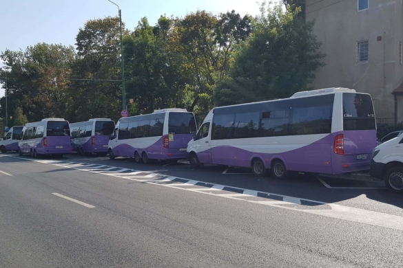 Trasee școlare în Timișoara: desființarea liniei S6, criticată