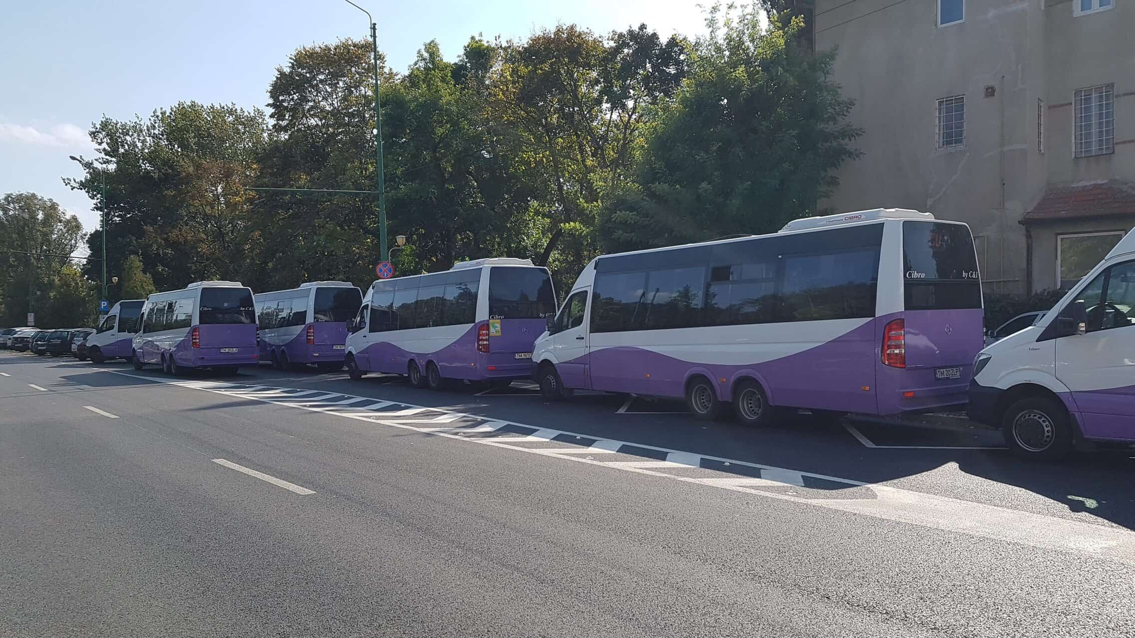 Trasee școlare în Timișoara: desființarea liniei S6, criticată