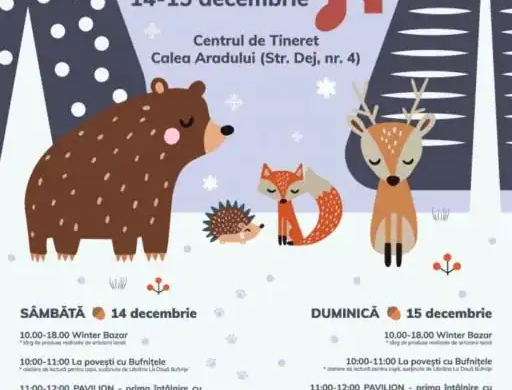 Bazar Cultural duce magia evenimentelor culturale mai aproape de cartierele timișorene